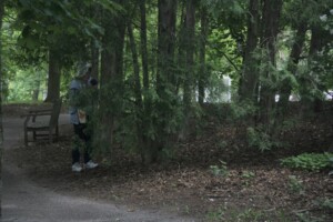 A participant touching leaves of a coniferous tree and recording what the texture feels like.