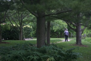 A participant walking with her cane down a path in the woods.