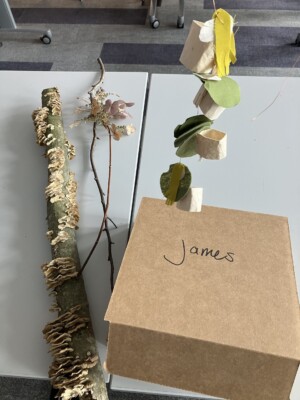 A finished sculpture mobile next to the branch with fungus that inspired the sculpture.