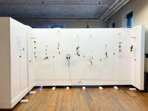 A straight on view of the eight mobile sculptures in an alcove with white blocks on the floor indicating the location of a touch activated button that plays a recording that inspired the sculptures.