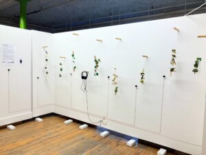 An angled view of the eight mobile sculptures in an alcove with white blocks on the floor indicating the location of a touch activated button that plays a recording that inspired the sculptures.