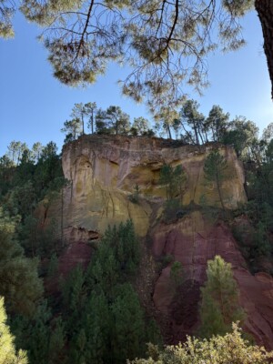 A purplish pigmented cliff is prominently in the centre with trees surrounding the landscape.