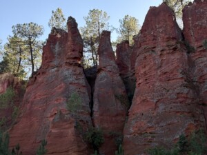 Red pigmented towers of rock with sunset light shining on the trees in the background.