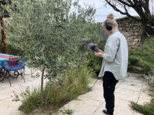 Myself recording sounds from the wind rustling in the branches of an olive tree.